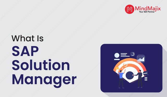 What is SAP Solution Manager?