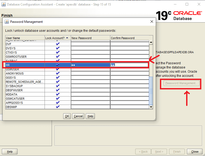 Oracle Apex Database Installation and Configuration